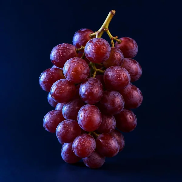 Resveratrol